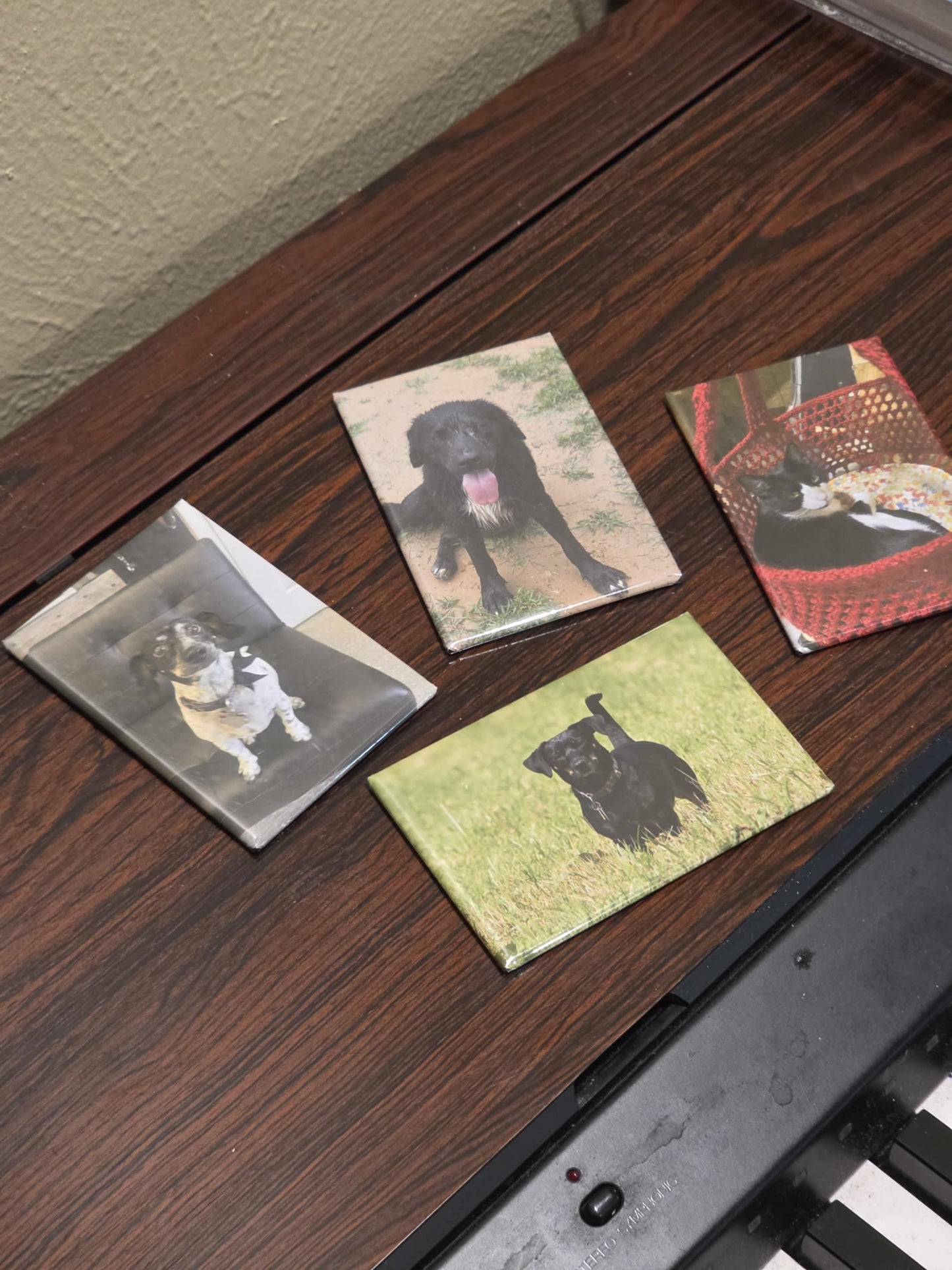 Custom 2x3" Rectangle Photo Magnets